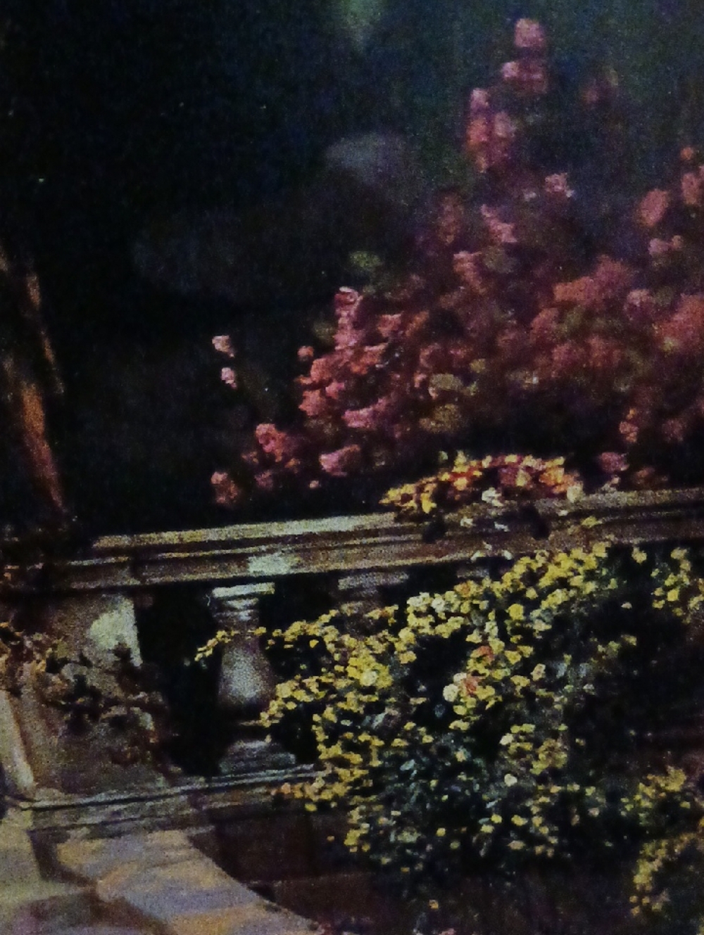 Vintage~ R Atkinson Fox- Villa Series "The Sunny South" Framed Art Deco Print - Picture 10 of 13